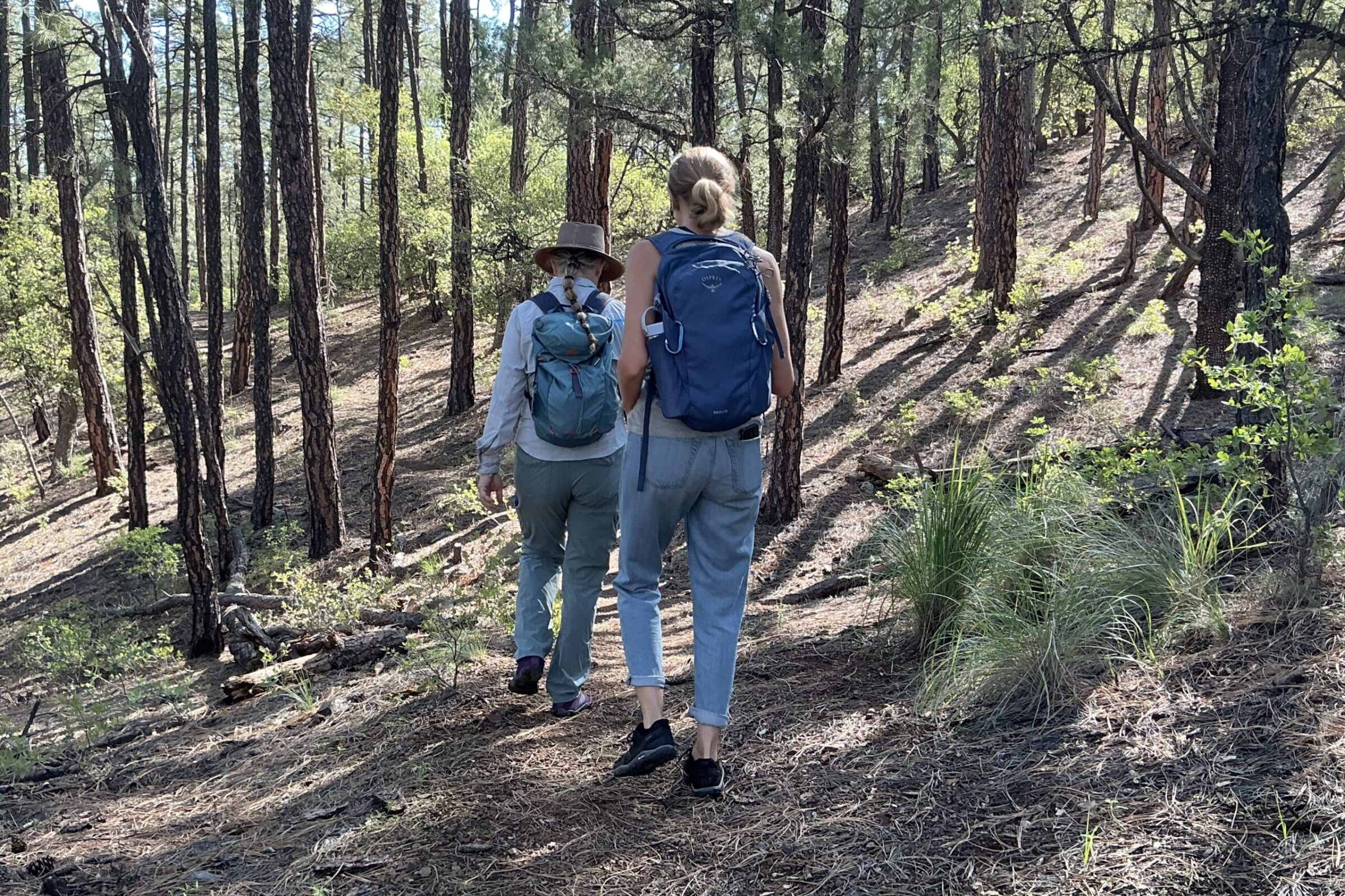 Women hiking on the Shady Lady Trail