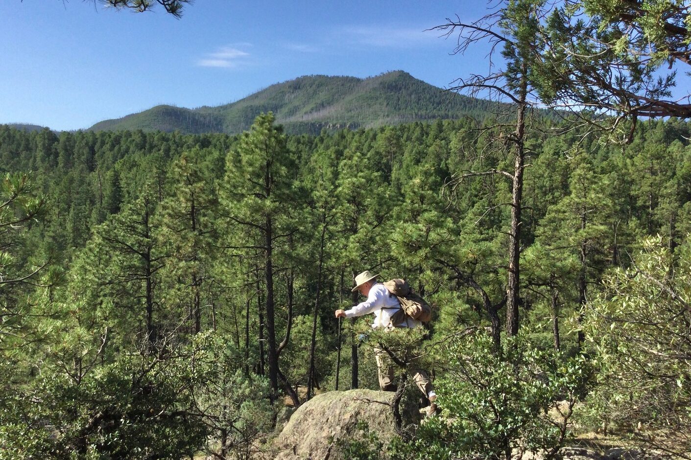 View of Signal Peak from the Sapillo Creek Trail in Meadow Creek Canyon