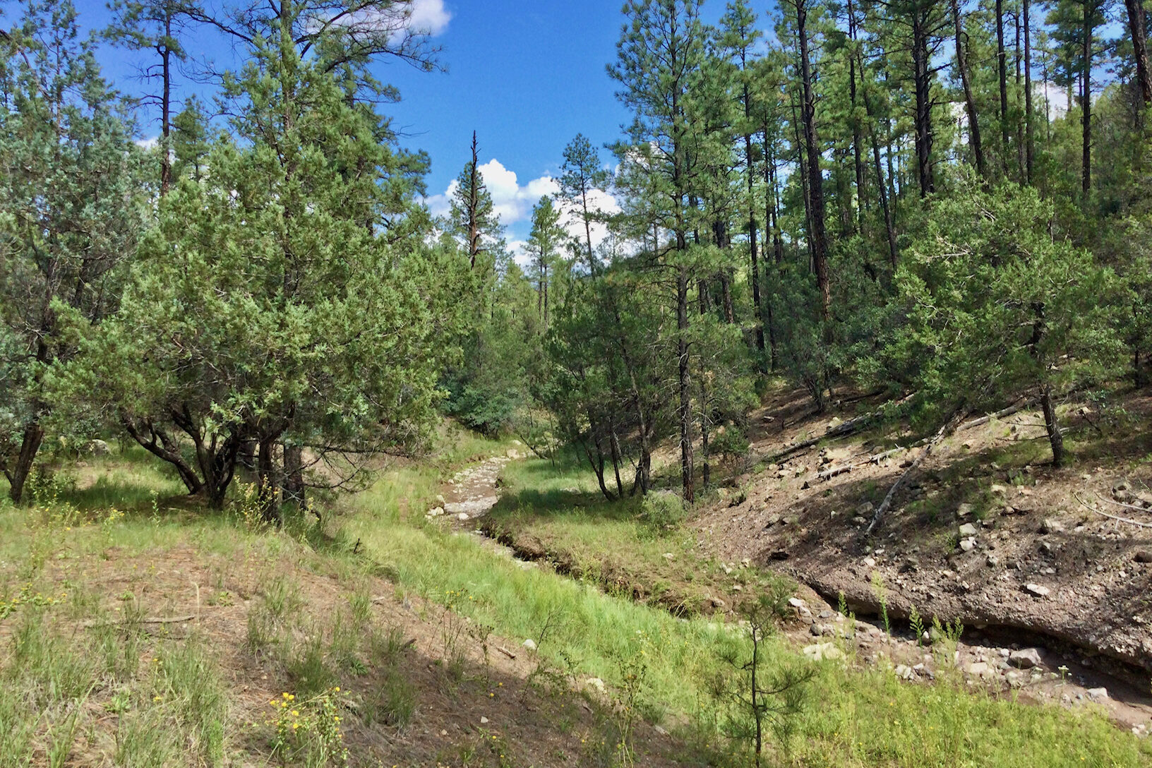 Nature Site slideshow