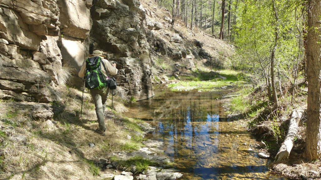 Hiking beside a stream in Meadow Creek Canyon.