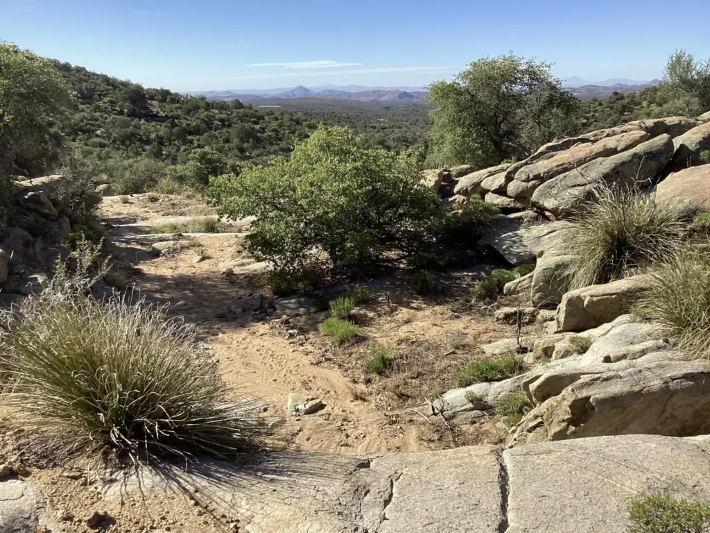 View from Neglected Mine Trail