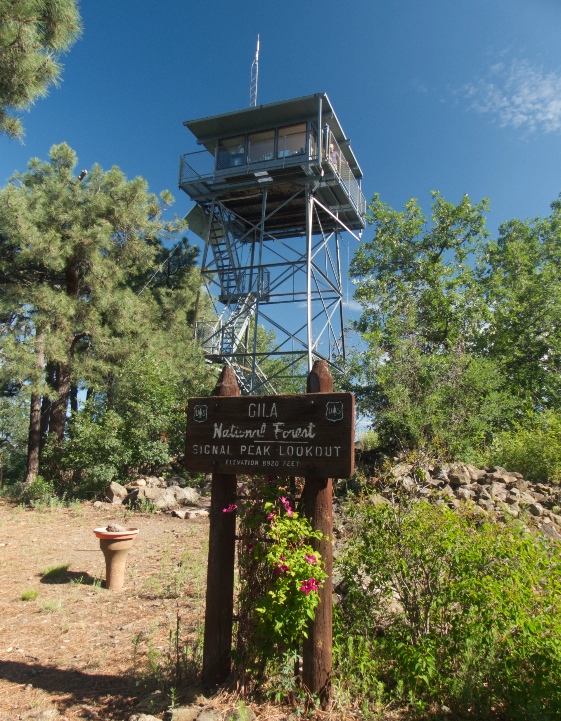 The Signal Peak fire tower