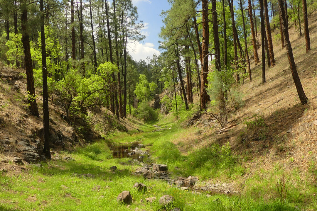 Where the road ends in Meadow Creek Canyon