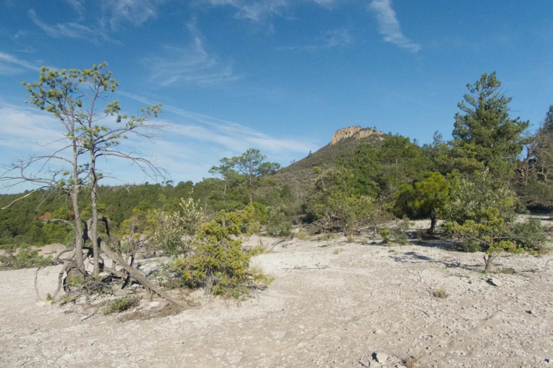 Open rocky area just off the trail