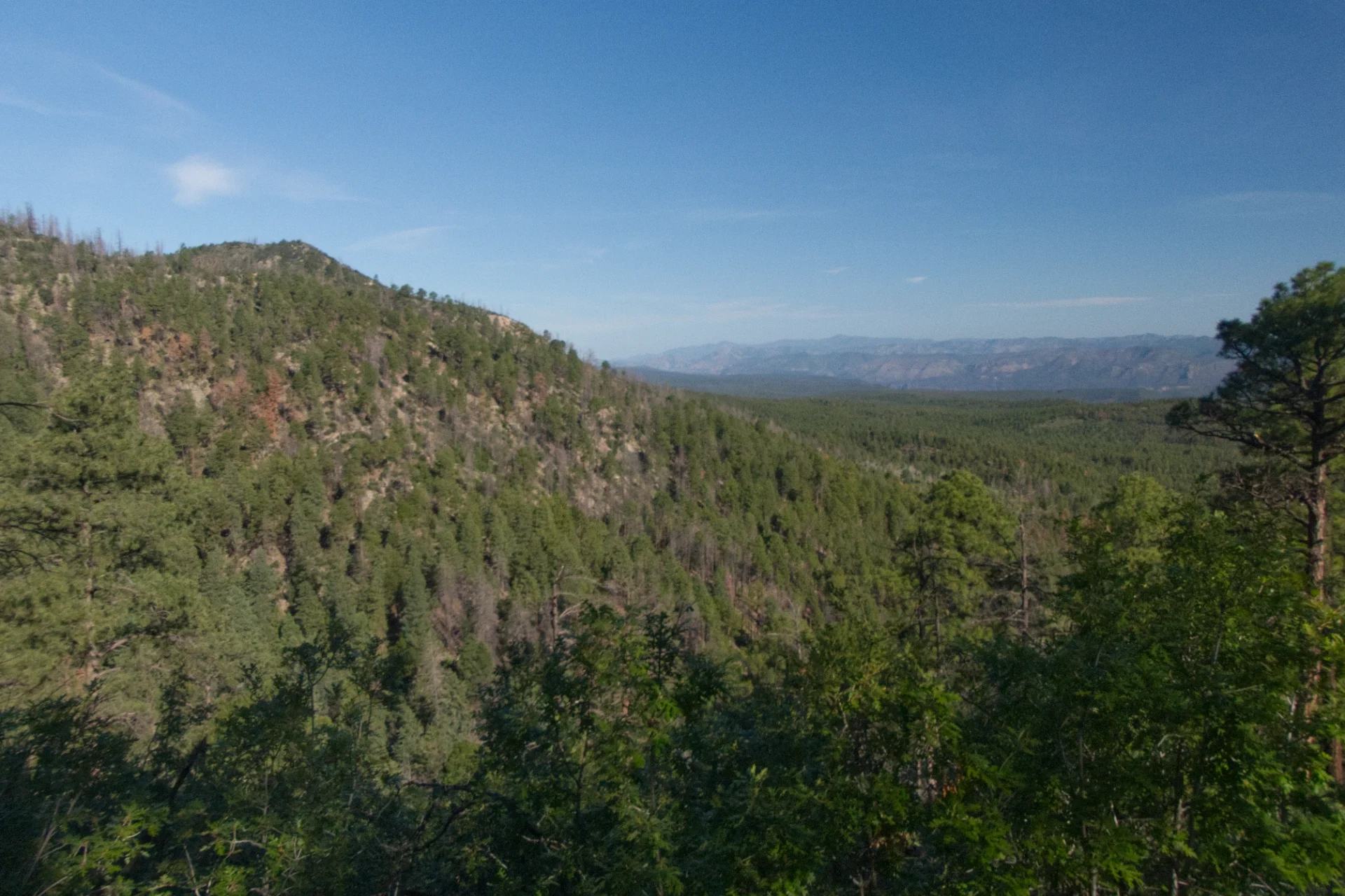 View north toward the Mogollon Mountains