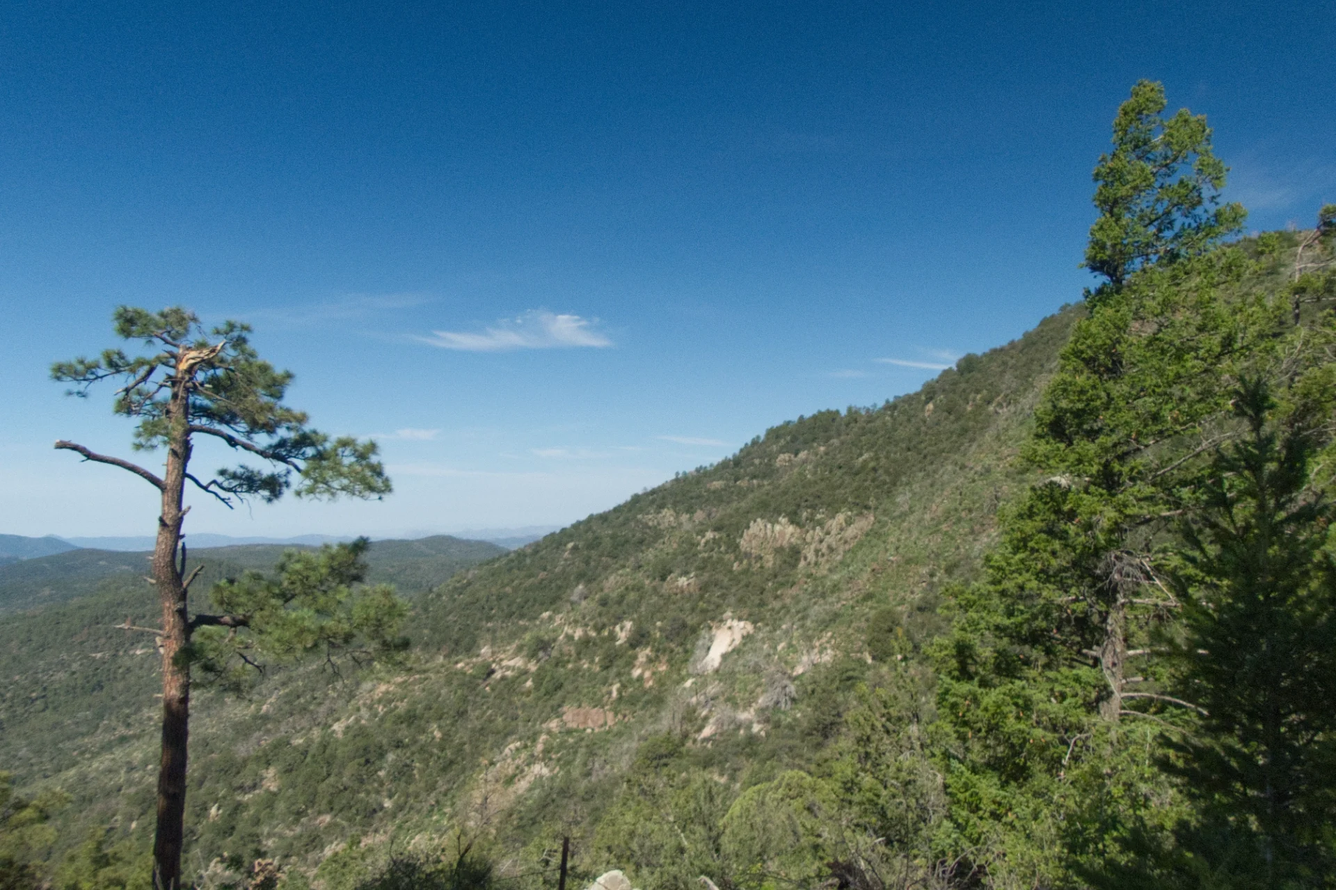 View to the west, from just below the high point of the ridge