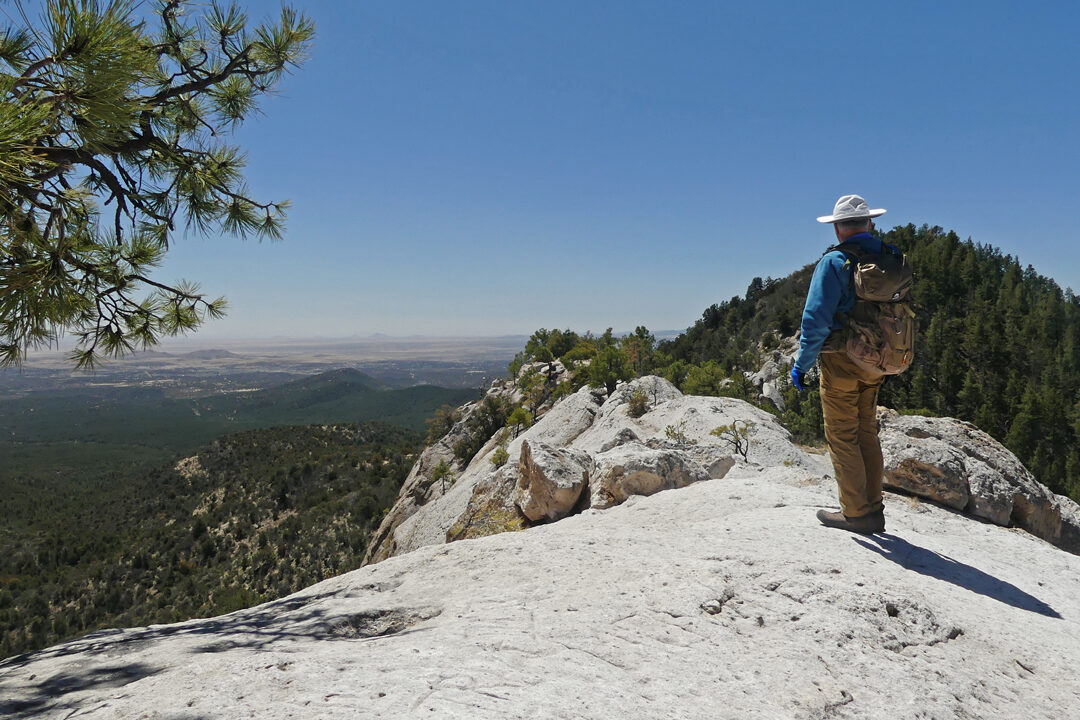 Looking toward Silver City from the Twin Sisters
