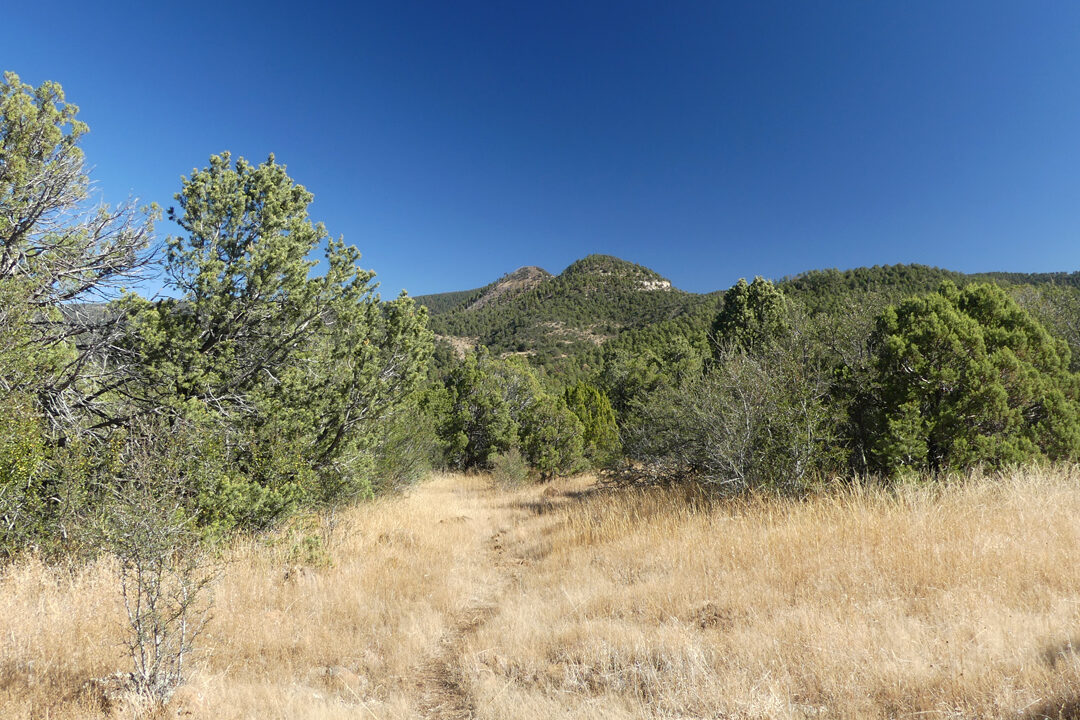 View of the Twin Sisters from the Arrastra Trail