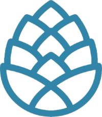 Cropped pine cone.png