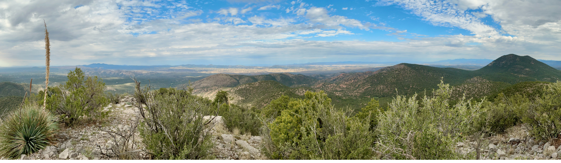 Panoramic view from the summit of McComas Peak
