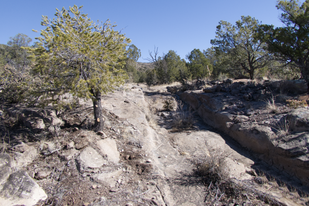 Nature Site slideshow