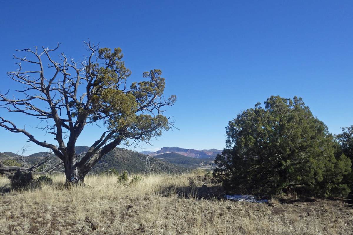 Nature Site slideshow
