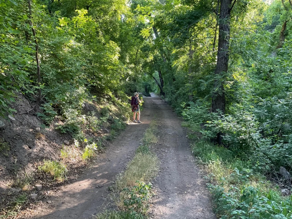Hiker in Little Cherry Creek