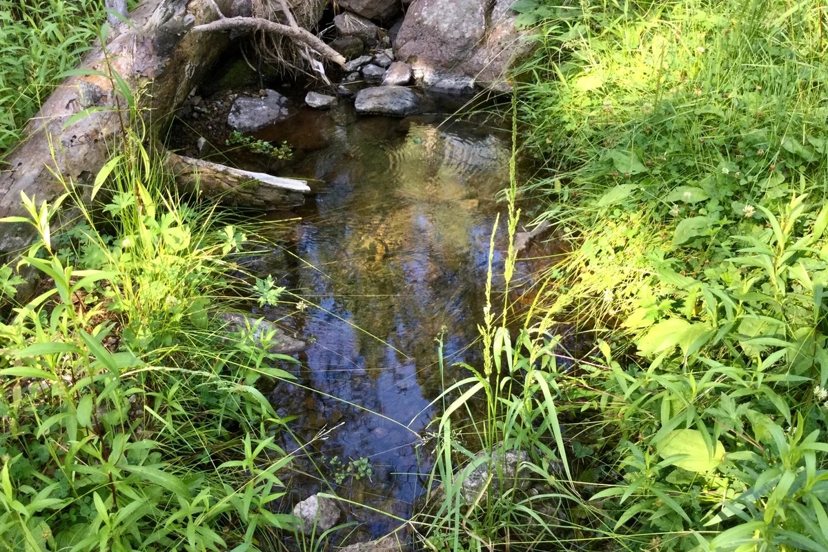 Tiny pond in a side canyon that runs into Meadow Creek Tiny pond in a side canyon that runs into Meadow Creek
