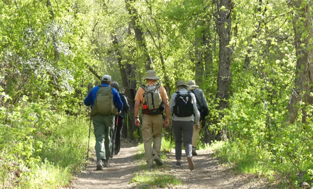 Hikers in Little Cherry Creek