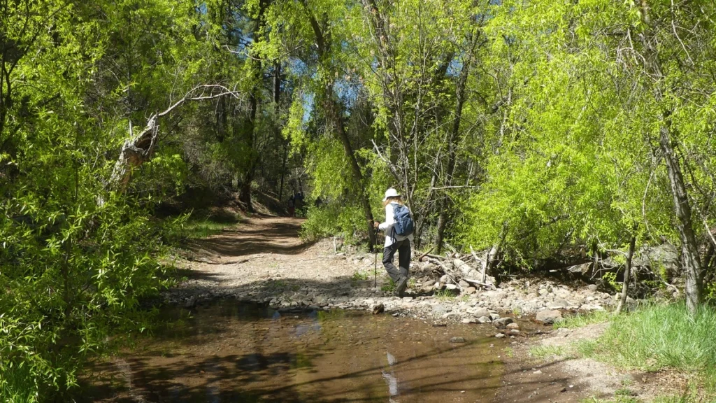Crossing the stream in Little Cherry Creek