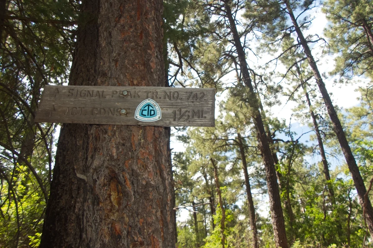 Signal Peak Black Peak trailhead