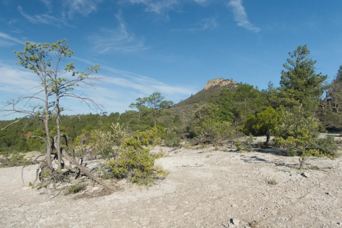 Open rocky area just off the trail