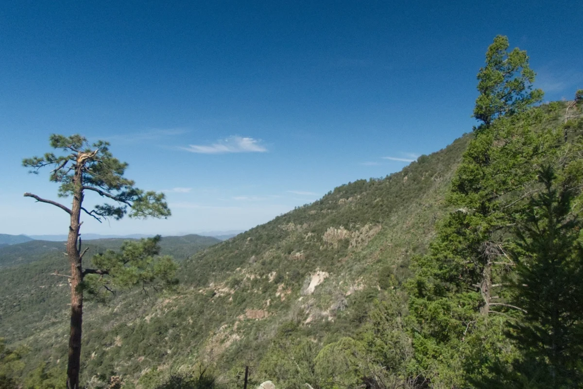 View to the west, from just below the high point of the ridge