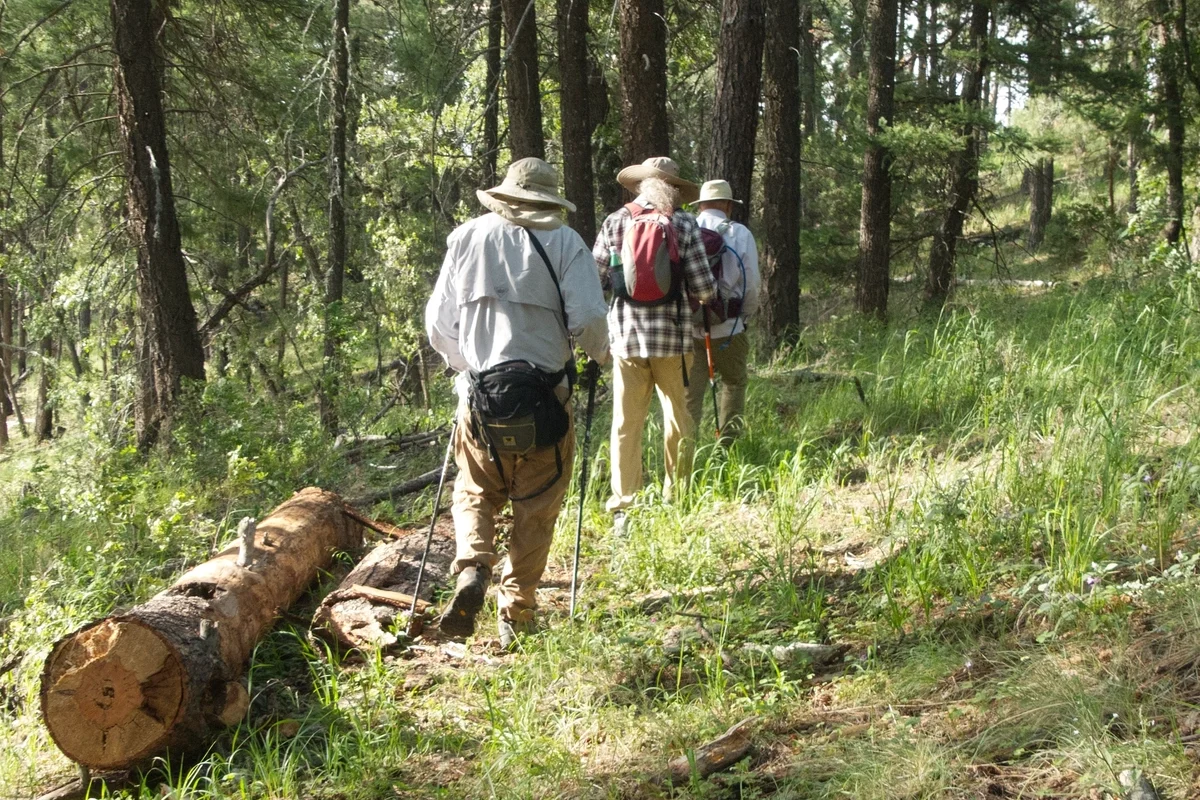 Hikers on the trail from Signal Peak to Black Peak