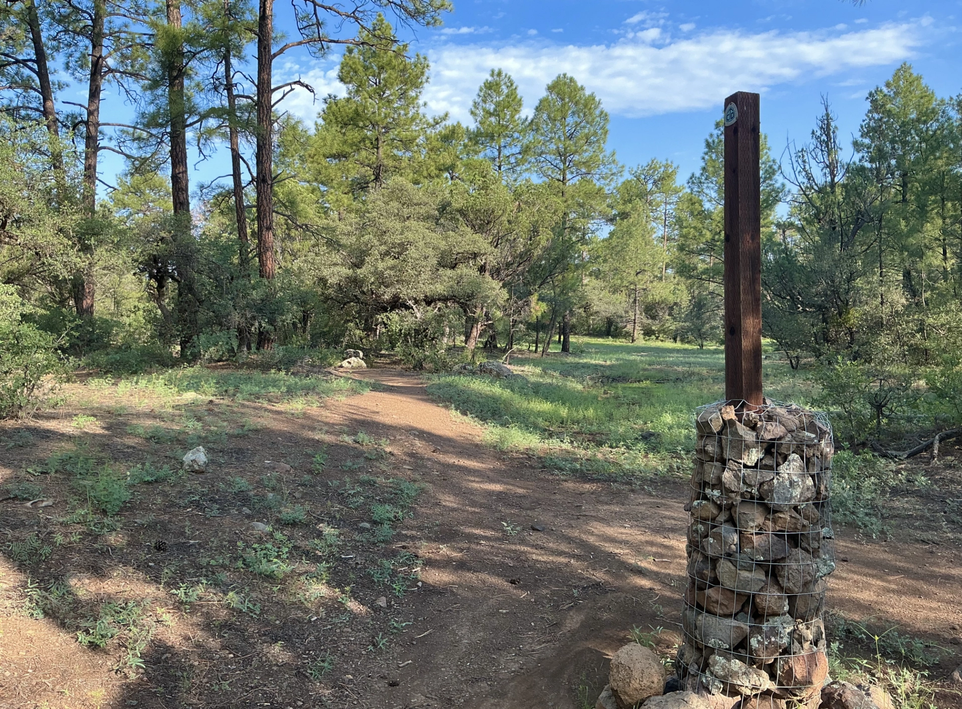 CDT Divide Access Junction